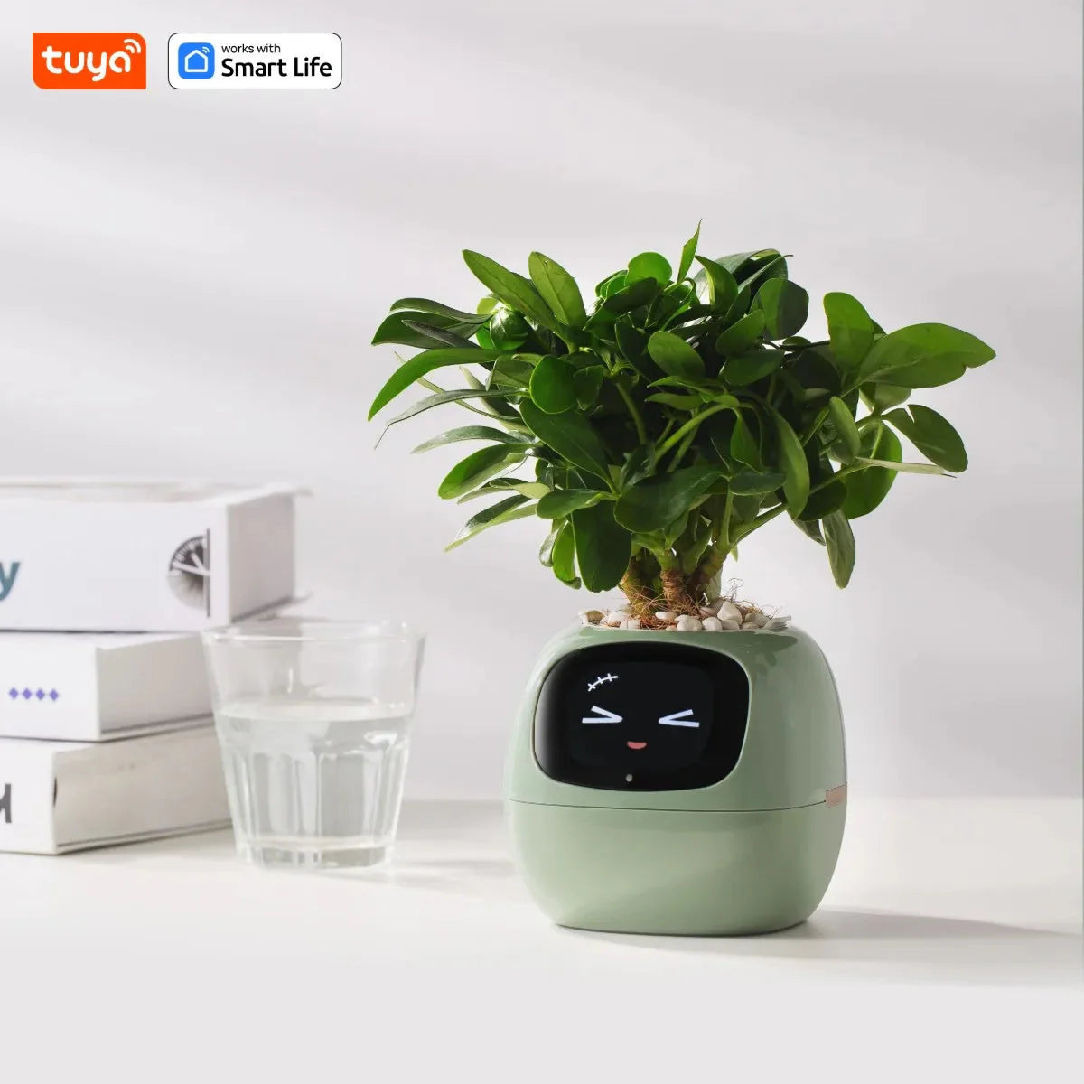 Tuya Ivy Smart Planter – Maceta inteligente con 7 sensores, chips AI y más de 49 expresiones para un cuidado de plantas fácil y divertido