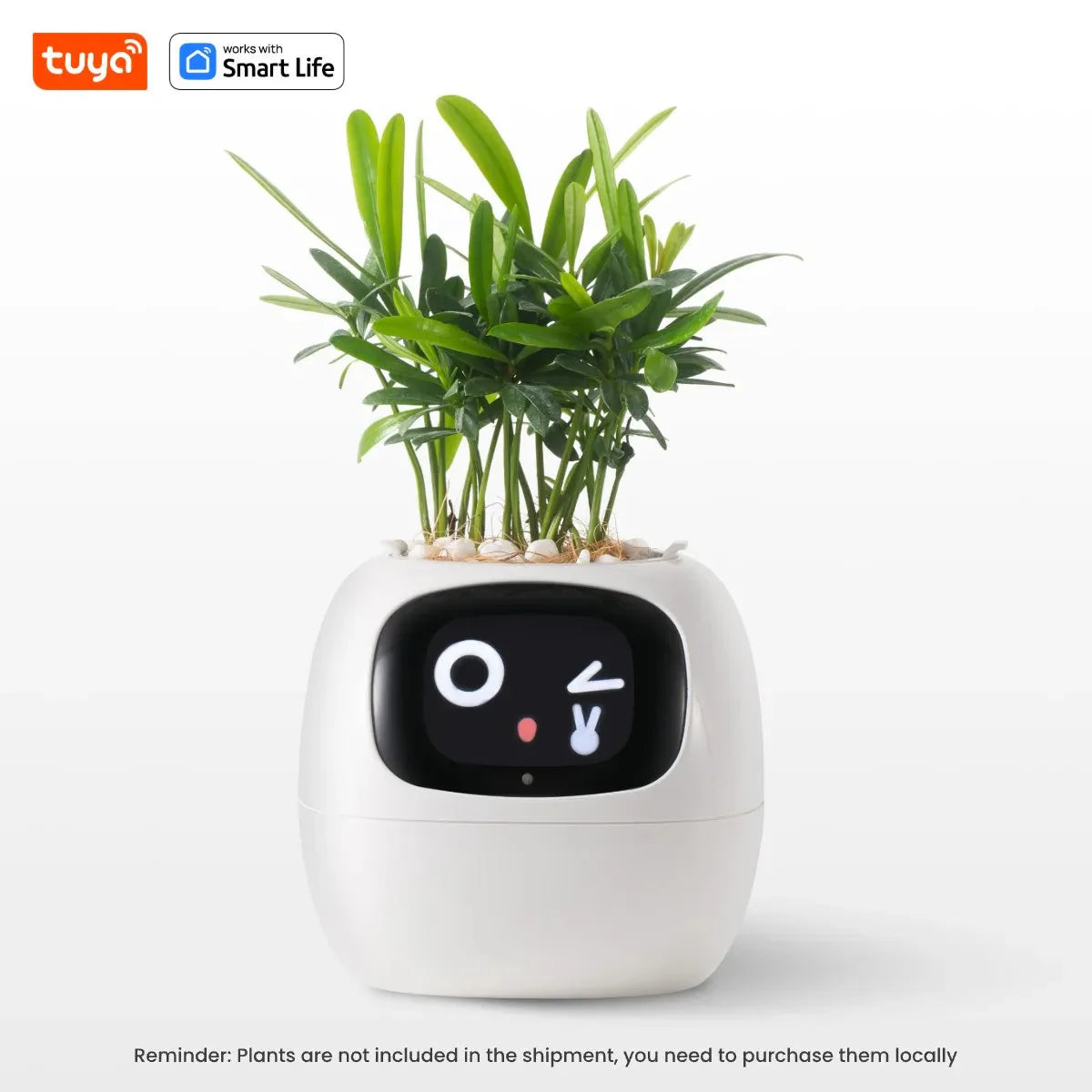 Tuya Ivy Smart Planter – Maceta inteligente con 7 sensores, chips AI y más de 49 expresiones para un cuidado de plantas fácil y divertido