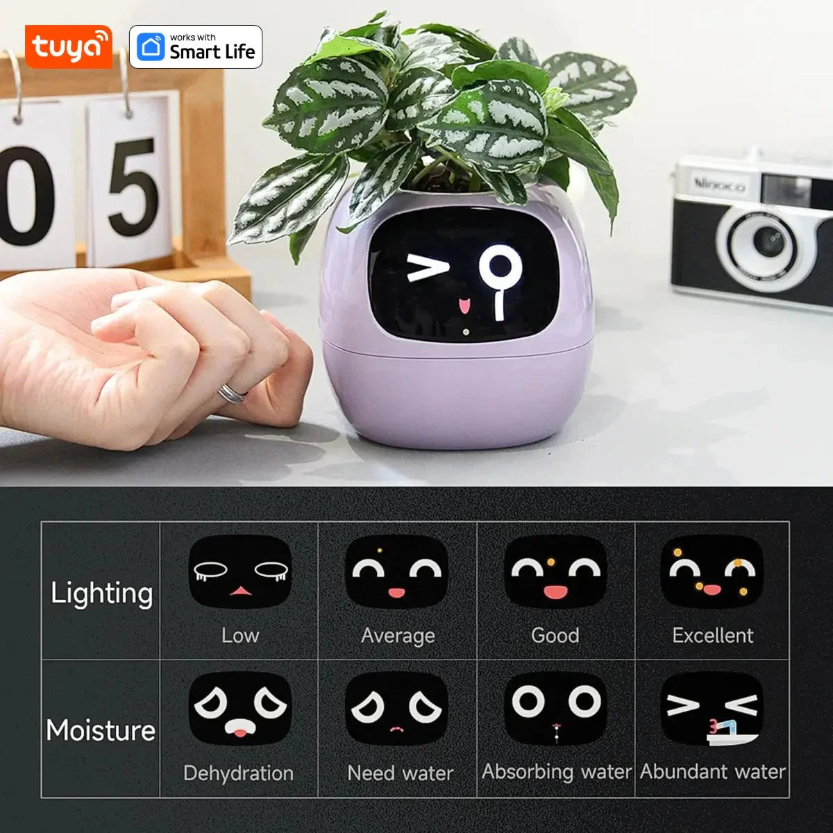 Tuya Ivy Smart Planter – Maceta inteligente con 7 sensores, chips AI y más de 49 expresiones para un cuidado de plantas fácil y divertido