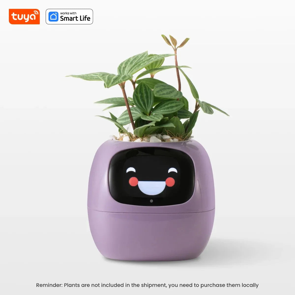 Tuya Ivy Smart Planter – Maceta inteligente con 7 sensores, chips AI y más de 49 expresiones para un cuidado de plantas fácil y divertido