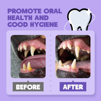 Spray Bucal para Perros y Gatos – Elimina el Mal Aliento y Cuida los Dientes de tu Mascota (150 ml)