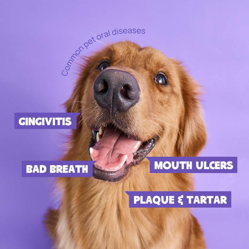 Spray Bucal para Perros y Gatos – Elimina el Mal Aliento y Cuida los Dientes de tu Mascota (150 ml)